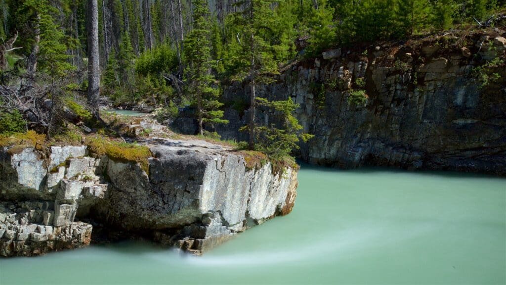 Discover Tranquility: Kootenay National Park in British Columbia,