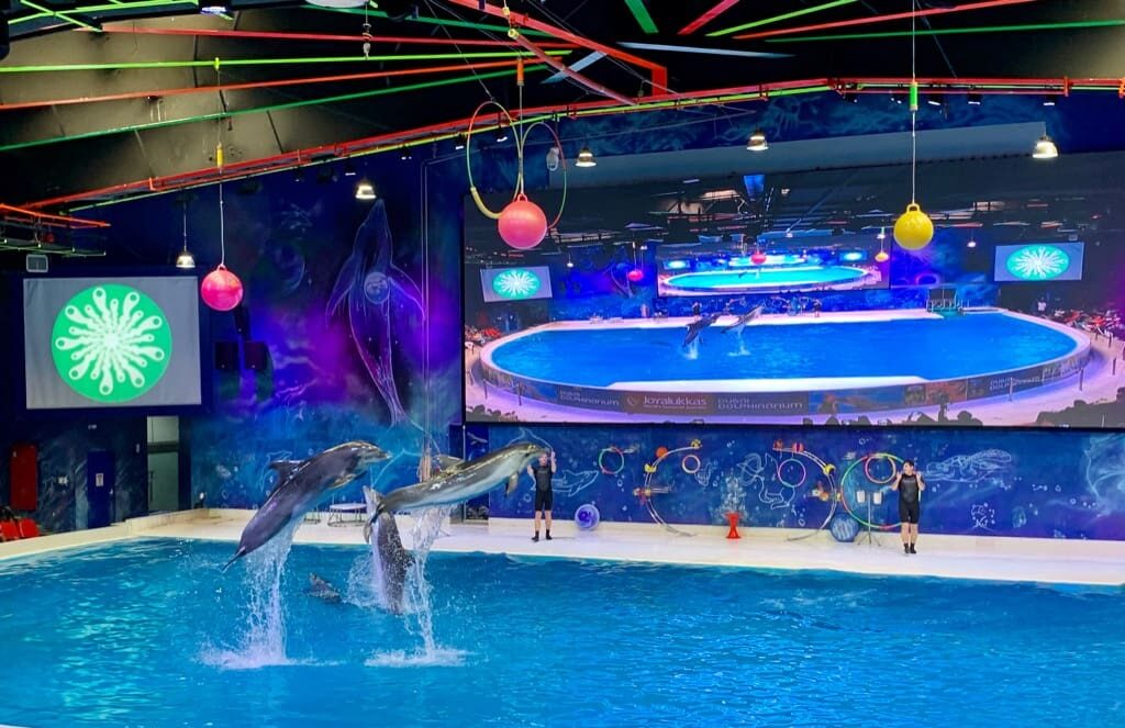 Dubai Dolphinarium A Fusion of Entertainment and Education