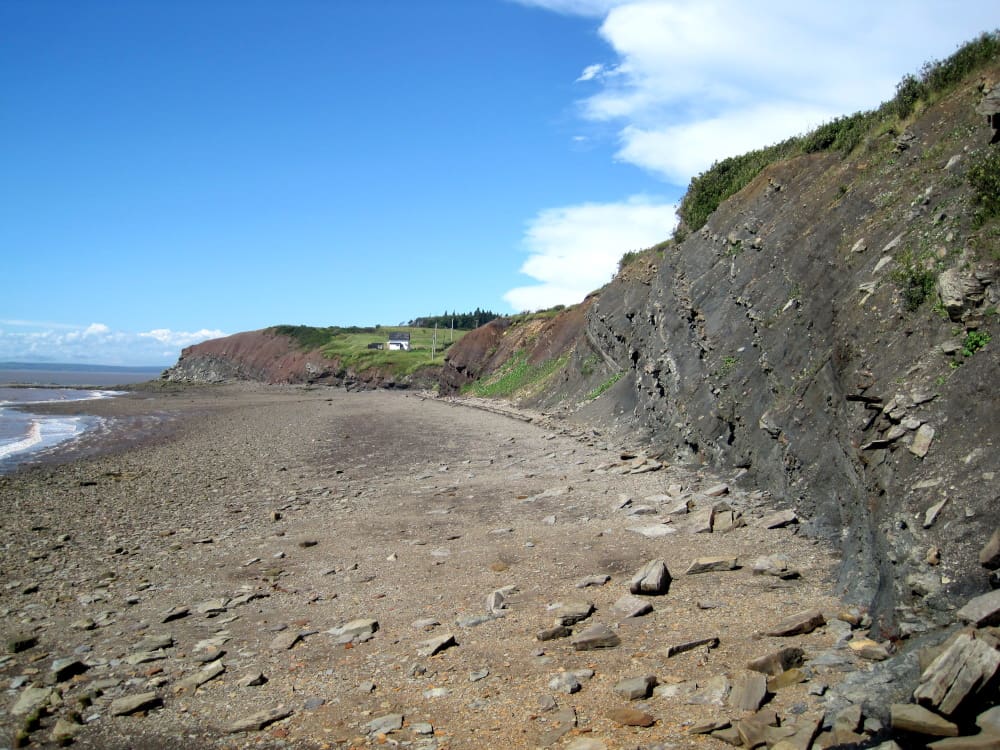  Joggins Fossil Cliffs UNESCO World Heritage Site 