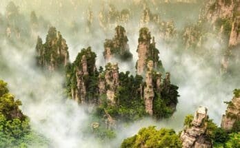 Zhangjiaji- National -Forest- Park:- Unveiling Nature's- Masterpiece