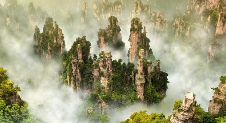 Zhangjiaji- National -Forest- Park:- Unveiling Nature's- Masterpiece