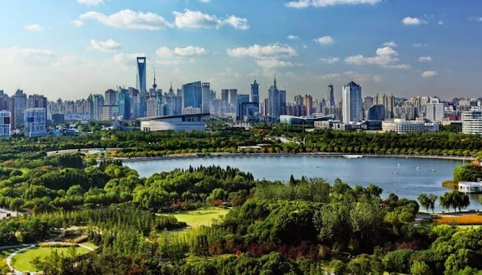 Century-Park- A- Tranquil- Oasis- in -Shanghai