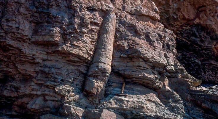 Joggins- Fossil -Cliffs -UNESCO- World -Heritage- Site