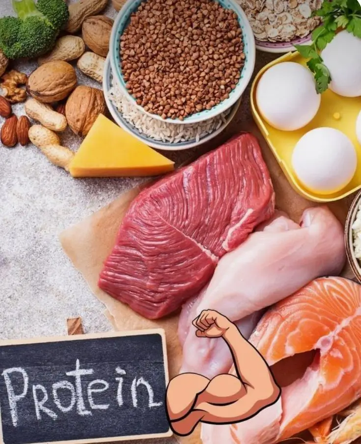 Get Enough Protein (But Not Too Much!)